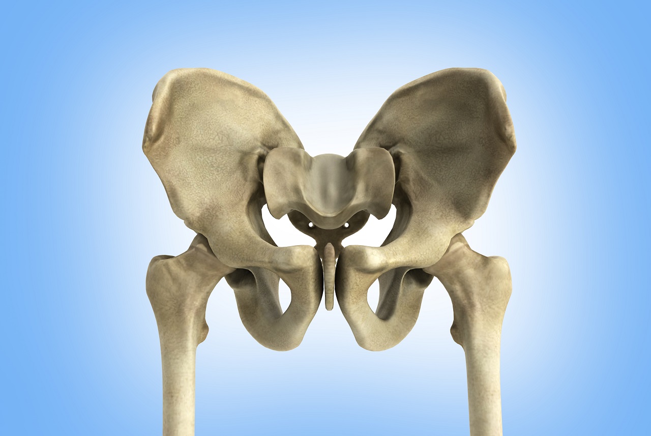 Дисплазия тазобедренного сустава (ДДТБ) - 3